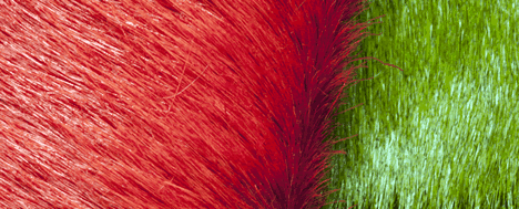 coloured hide logo